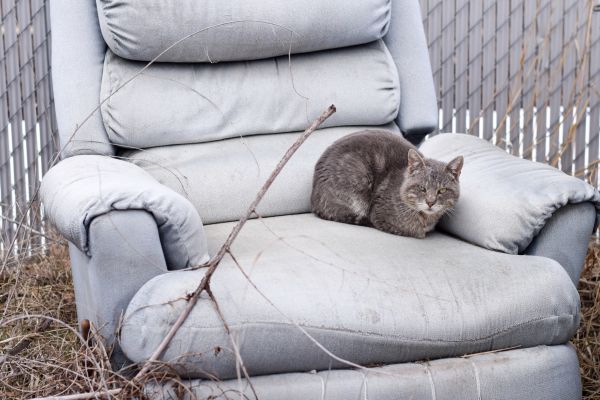 Recliner Disposal in Melbourne