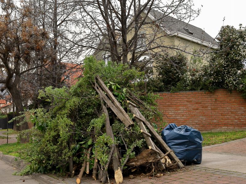Yard waste removal